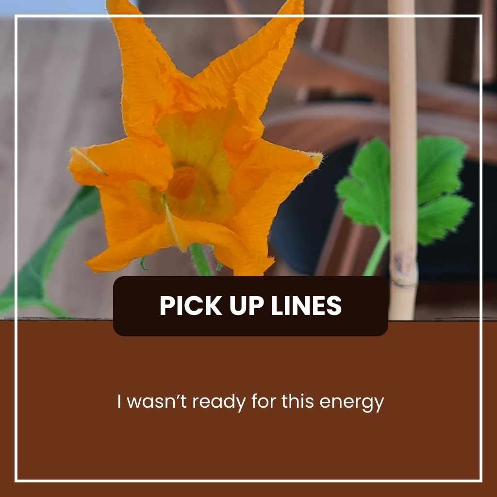 Unhinged Pick Up Lines