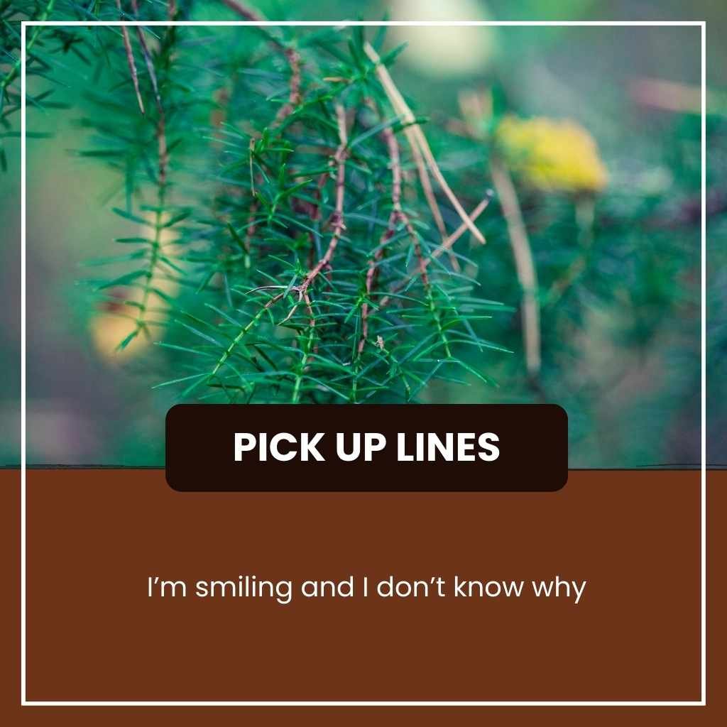 Unhinged Pick Up Lines