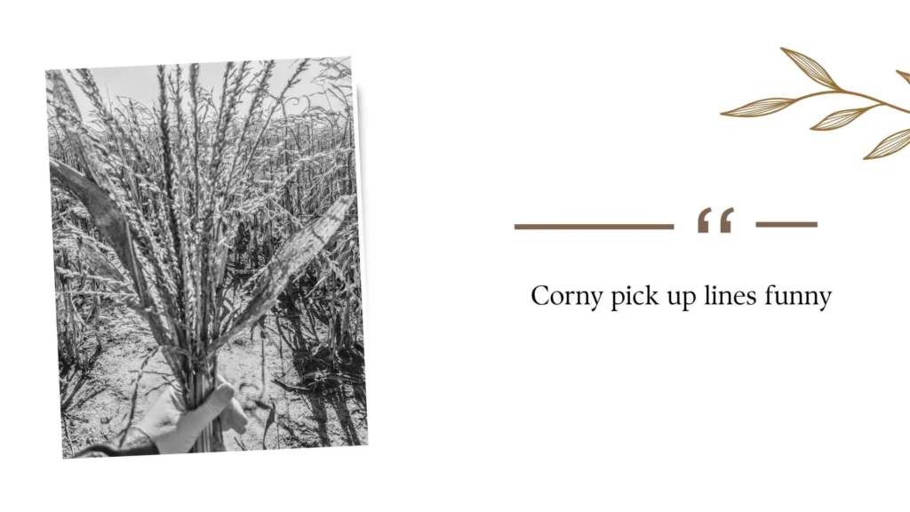 Corny pick up lines funny