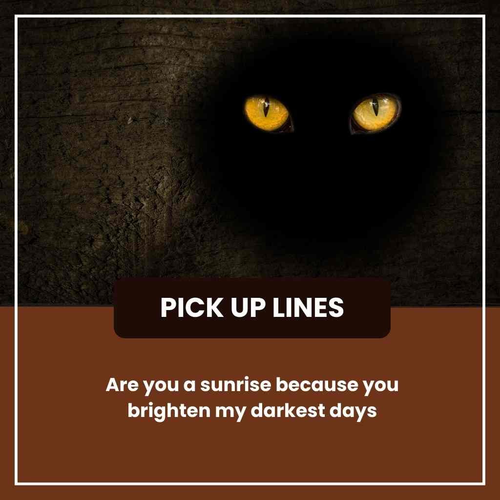 Cheesiest Pickup Lines