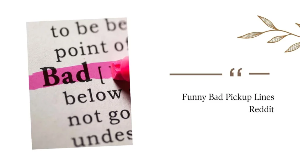 Funny Bad Pickup Lines Reddit
