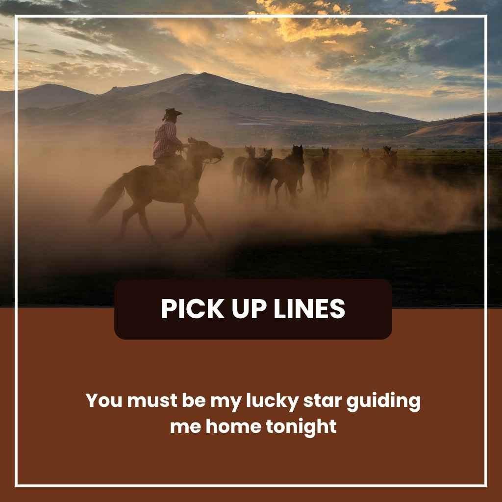 Cowboy Pickup Lines