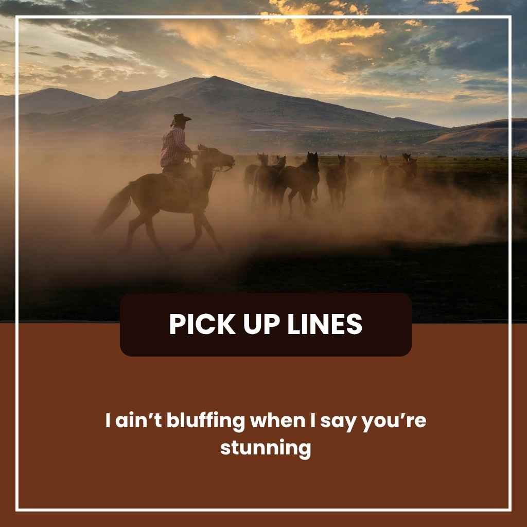 Cowboy Pickup Lines