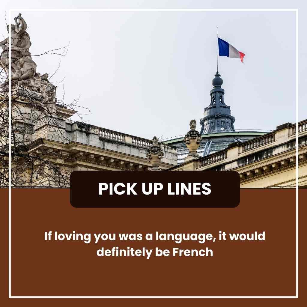 French Pickup Lines