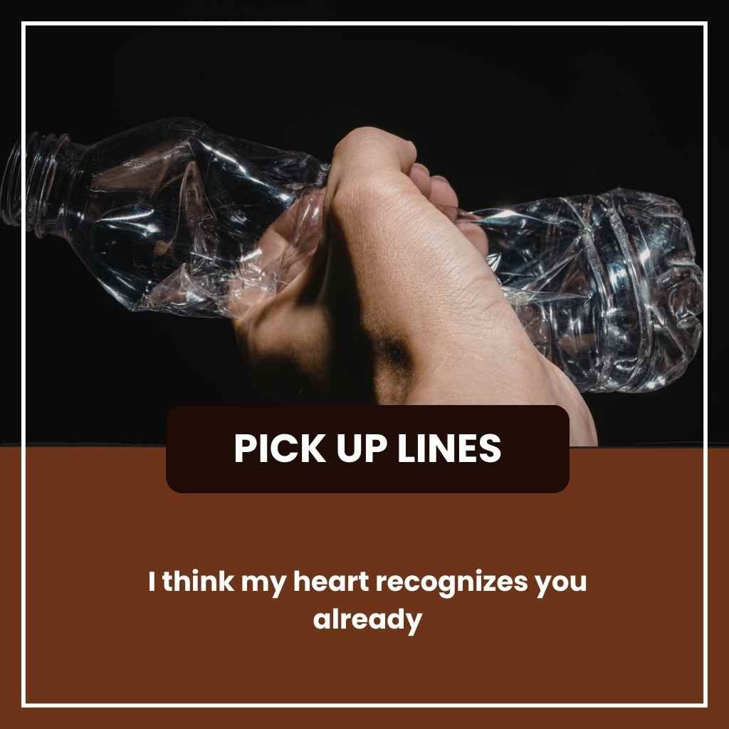 Pickup Lines for Crush