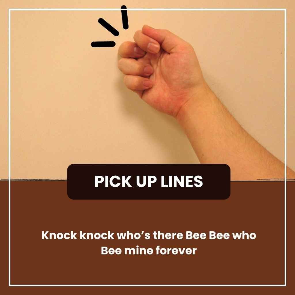 Pickup Lines Knock Knock Jokes Flirty