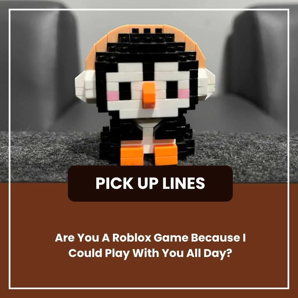 Roblox Pick Up Lines