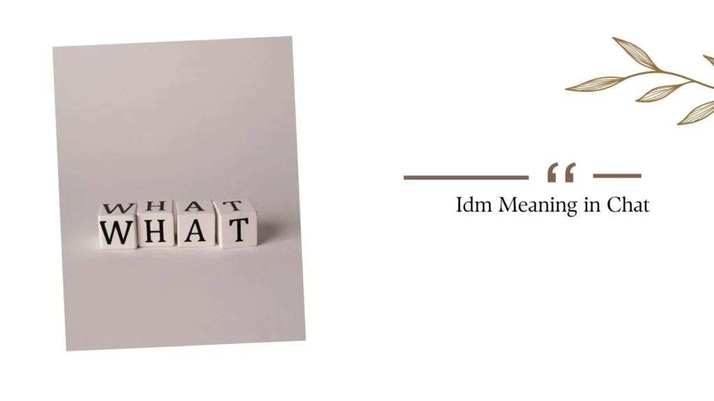 IDM Meaning in Text