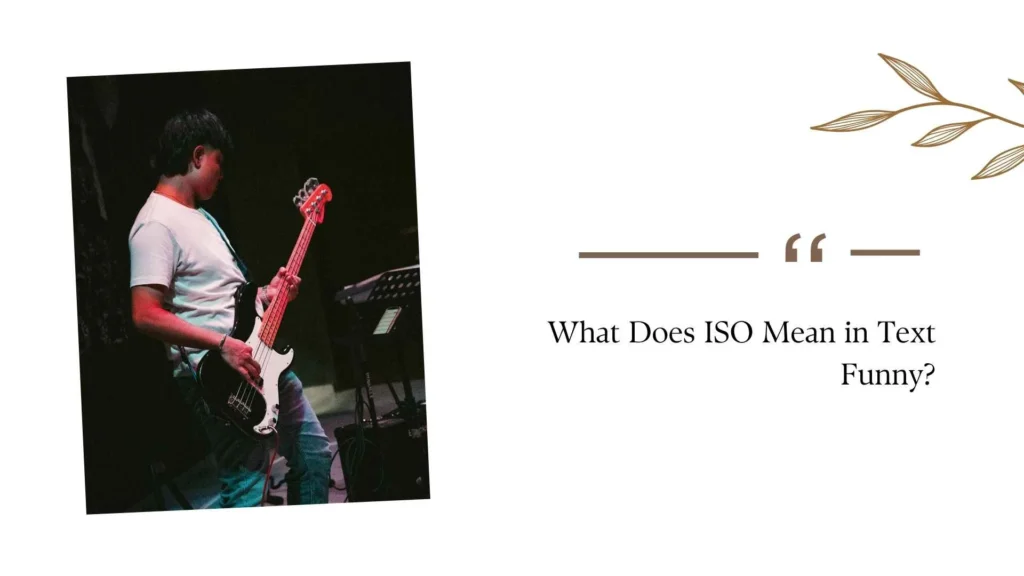 What Does ISO Mean in Text Funny?