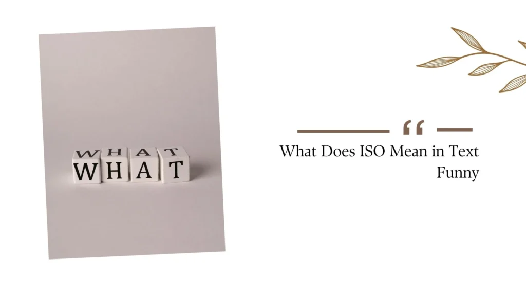 What Does ISO Mean in Text Funny