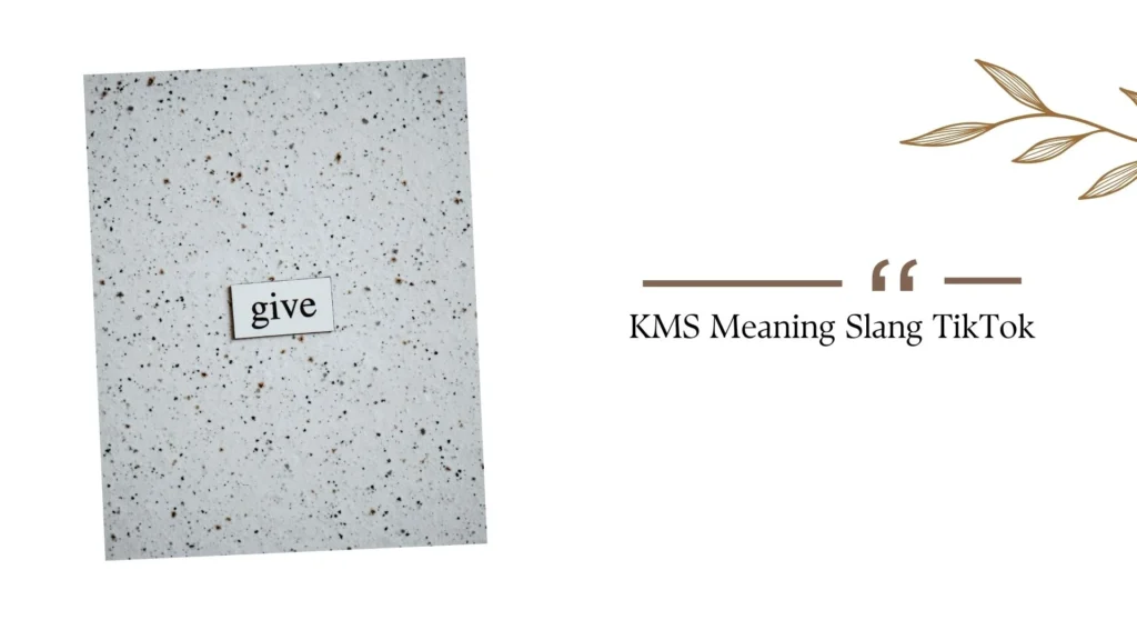 KMS Meaning Slang TikTok