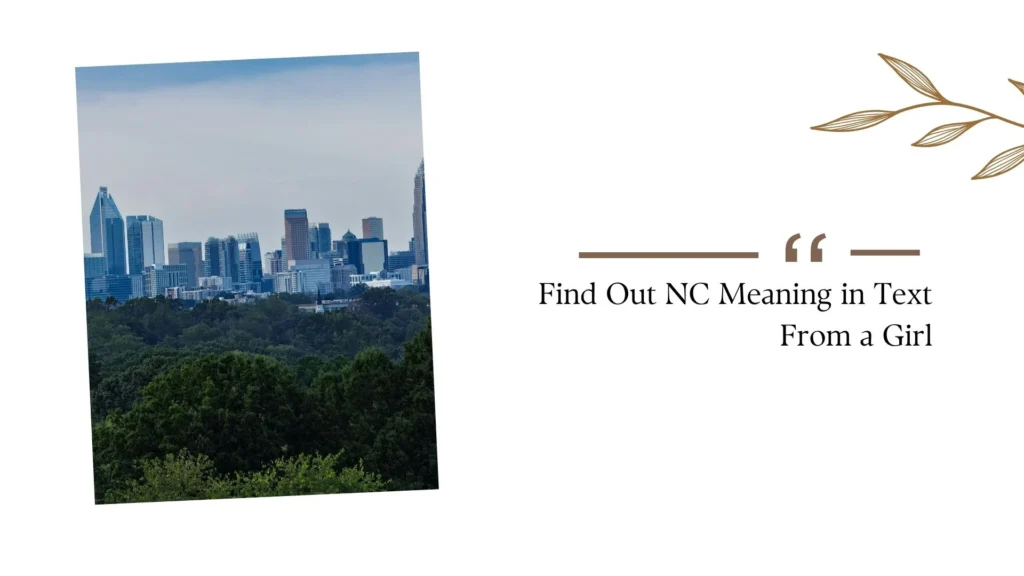 Find Out NC Meaning in Text From a Girl