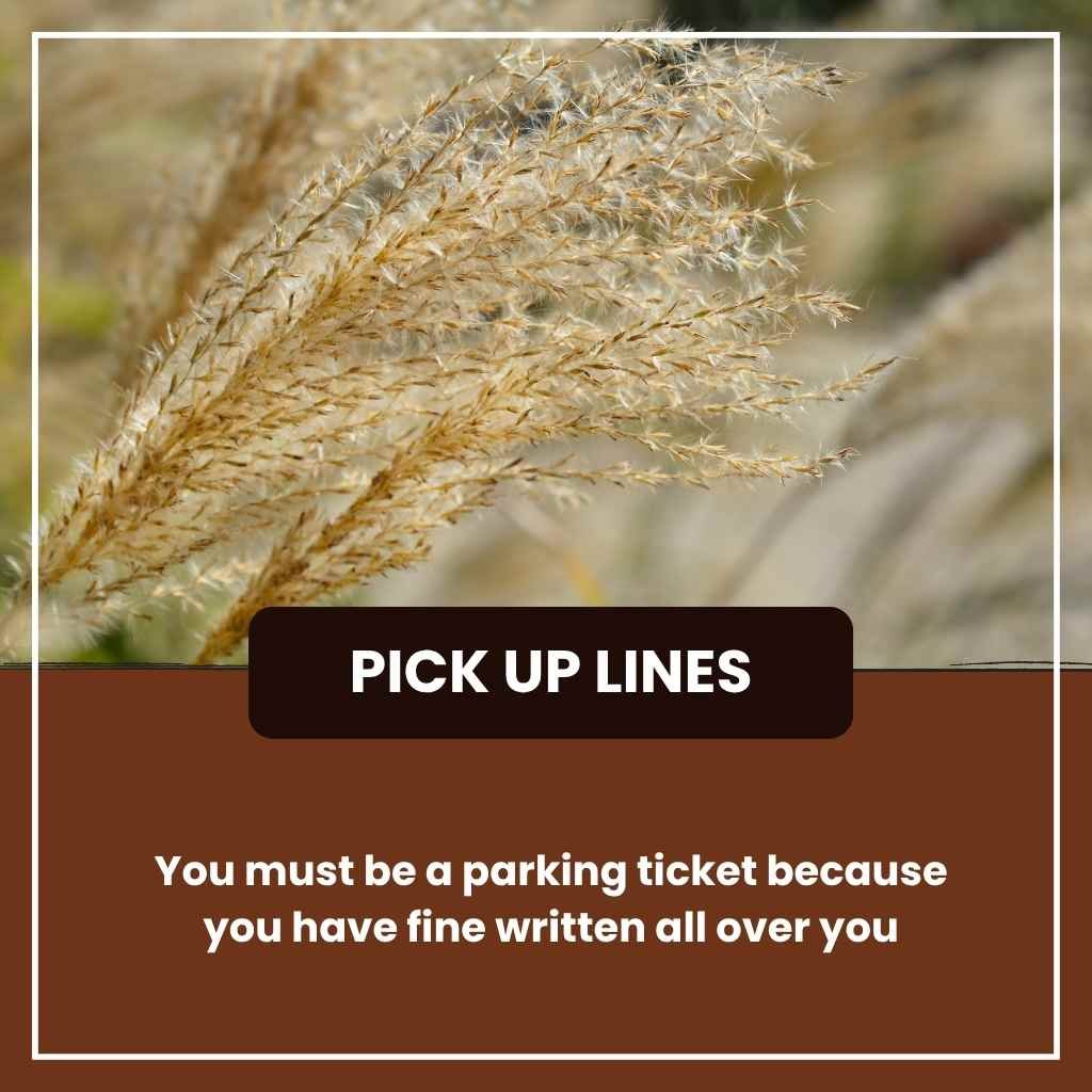 Raunchy Pickup Lines