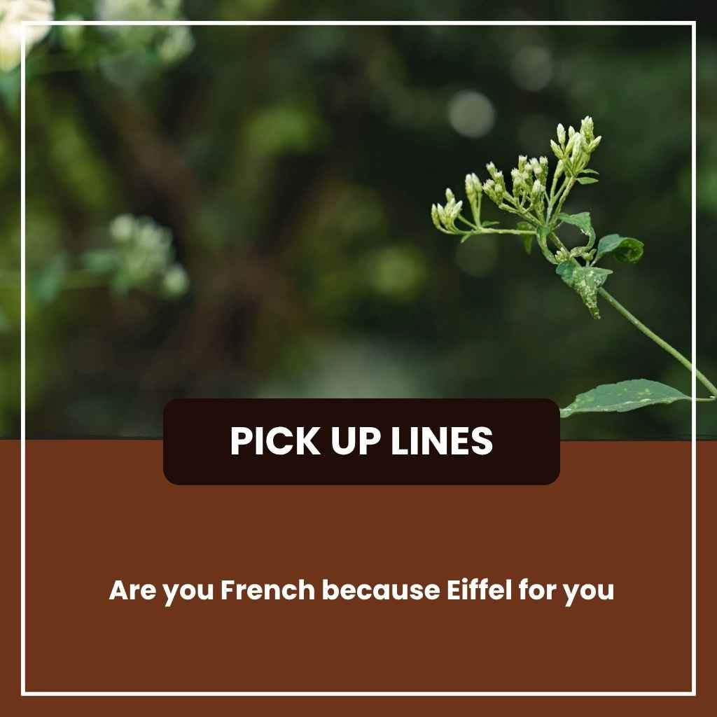 Raunchy Pickup Lines