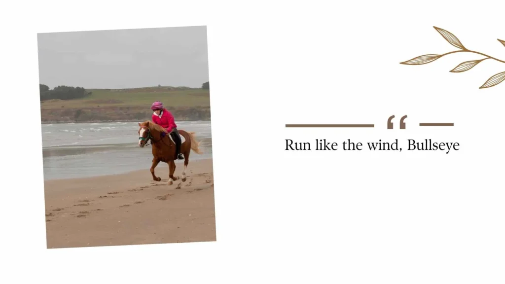 Run like the wind, Bullseye