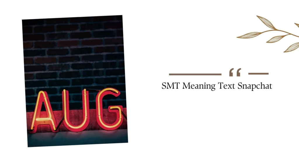 SMT Meaning Text Snapchat