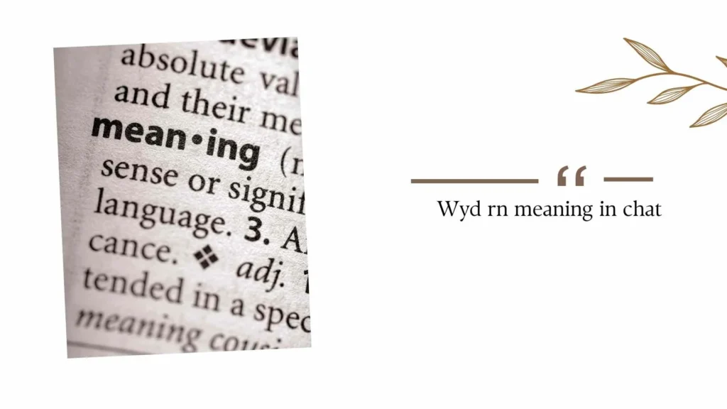 Wyd rn meaning in chat