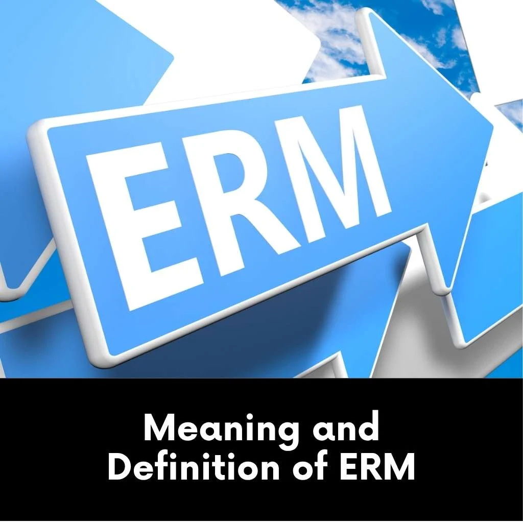 Meaning and Definition of ERM