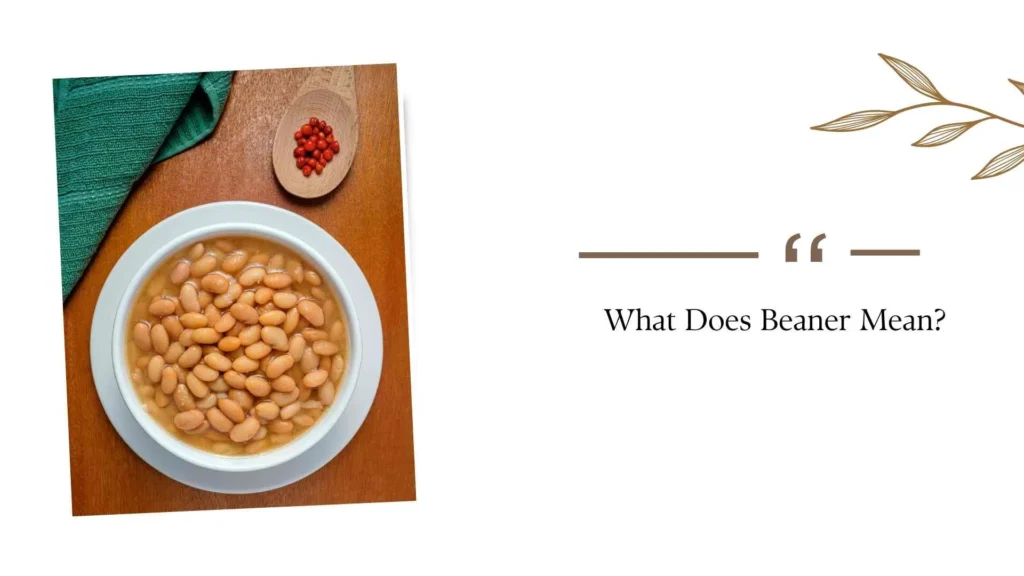 What Does Beaner Mean?