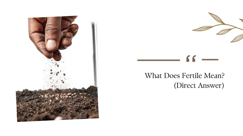What Does Fertile Mean?