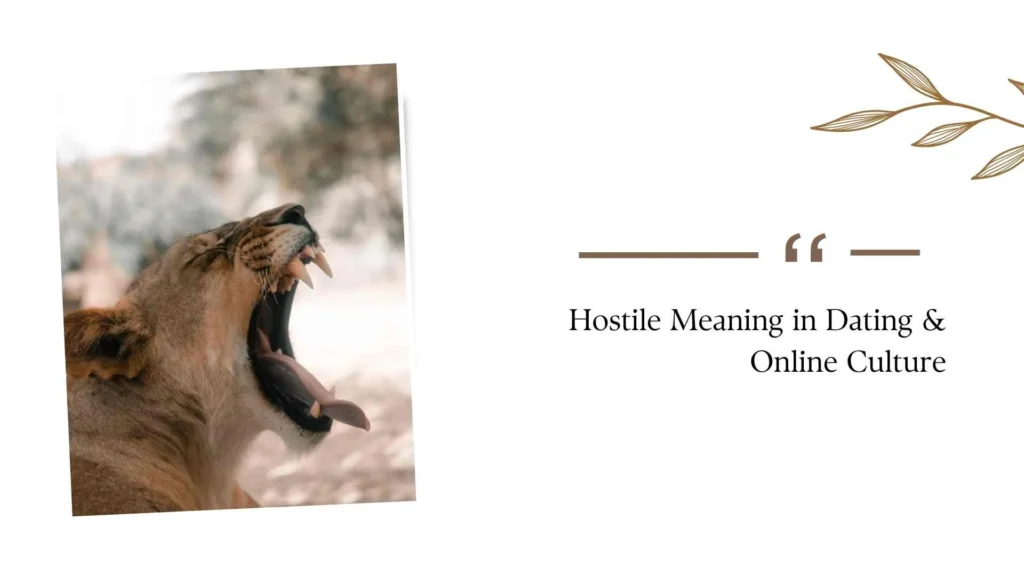 What Does Hostile Mean?
