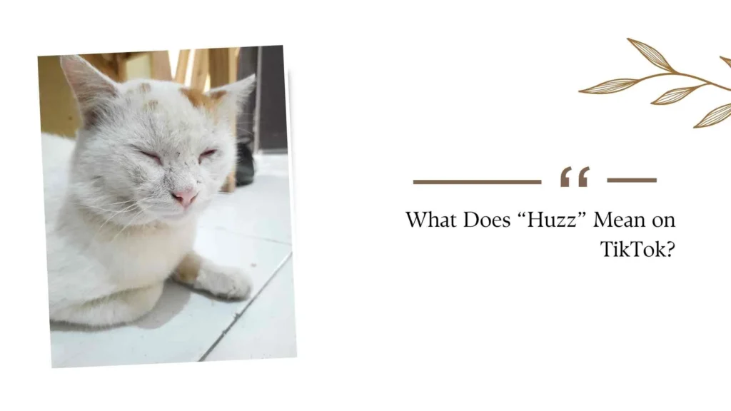 What Does “Huzz” Mean on TikTok?