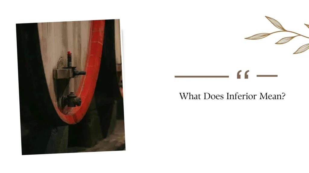 What Does Inferior Mean?