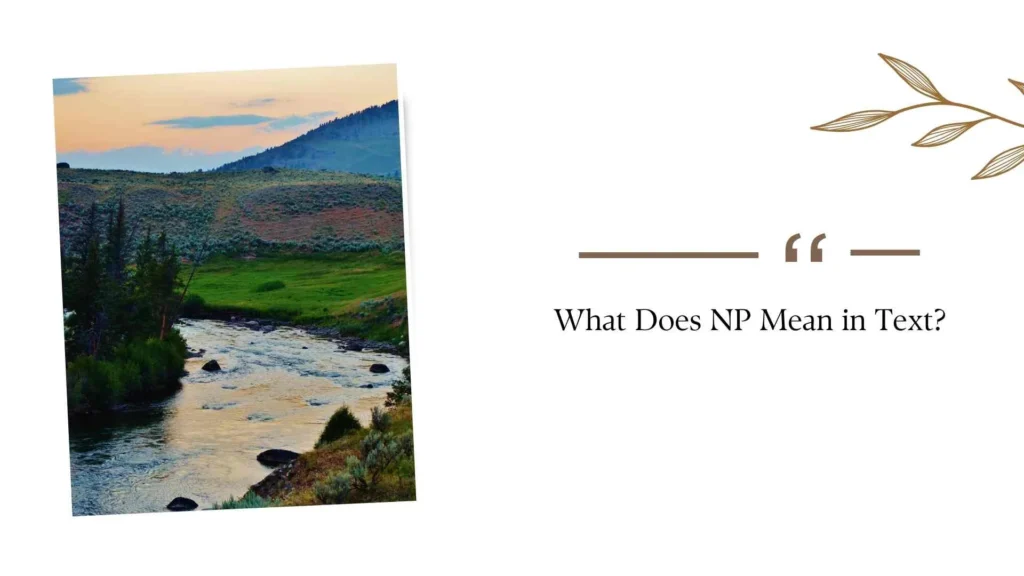 What Does NP Mean in Text?