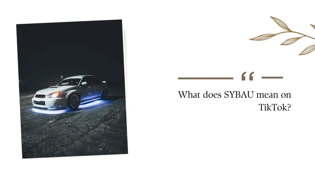 What does SYBAU mean on TikTok?