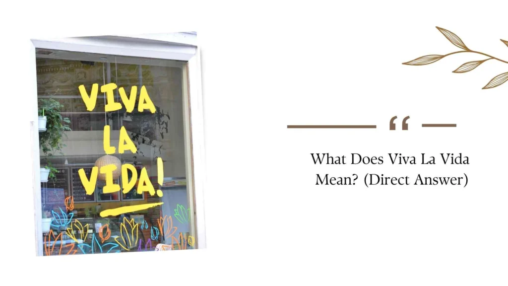 What Does Viva La Vida Mean?