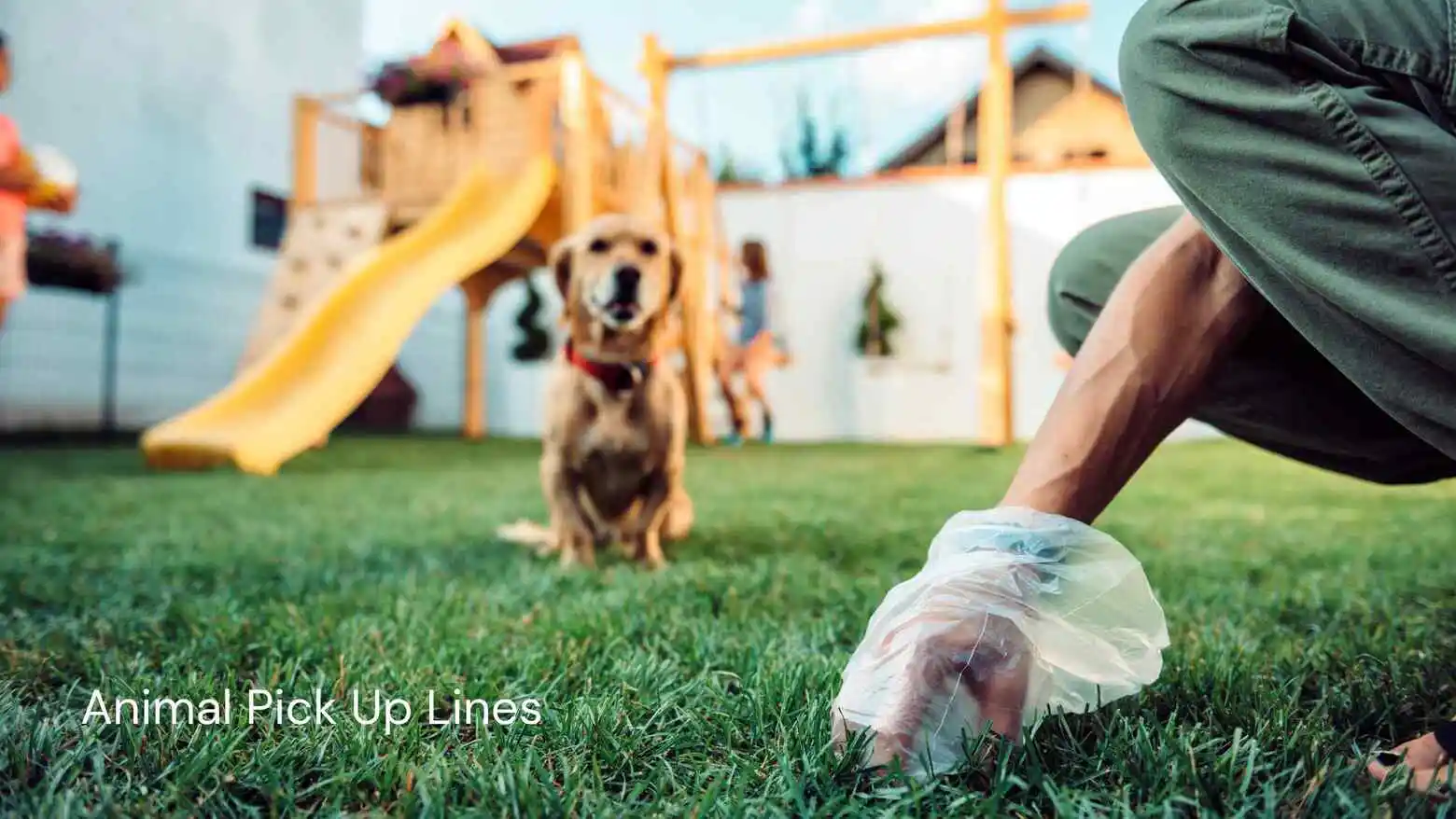 Animal Pick Up Lines