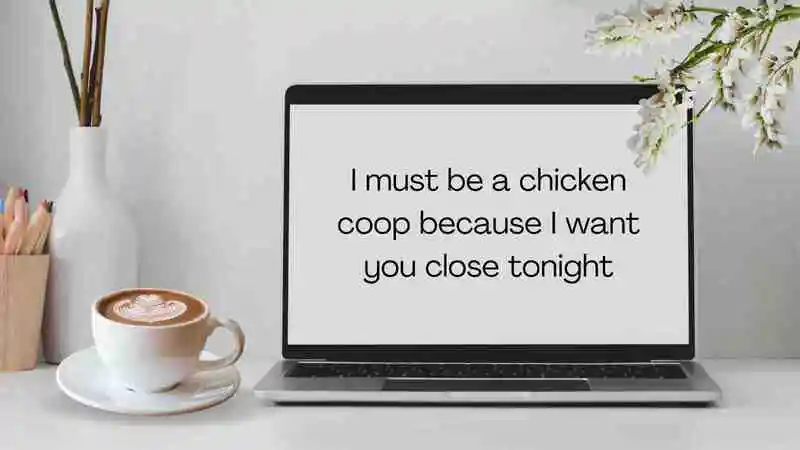 Chicken Pick Up Lines