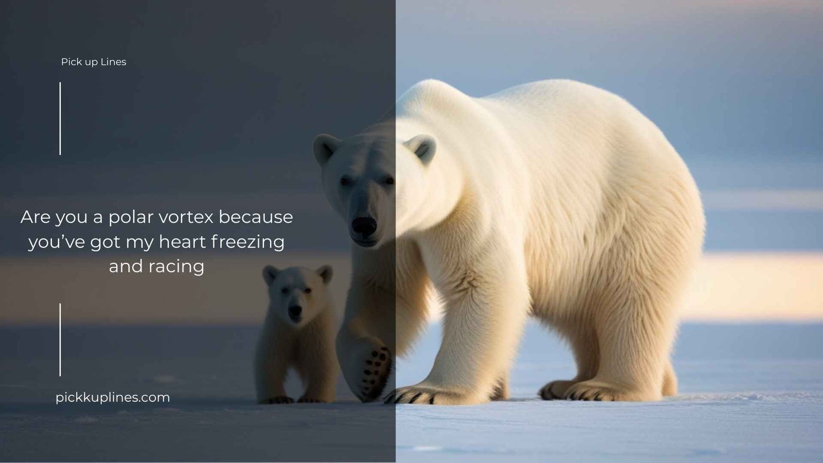 absolutely pick up lines 6