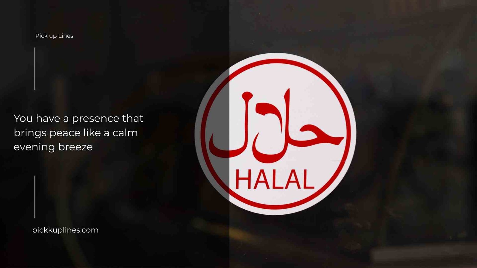 halal pick up lines 3