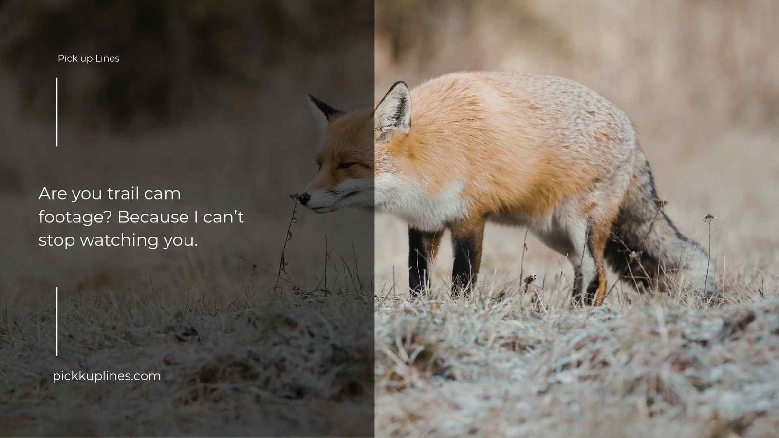 hunting pick up lines 1