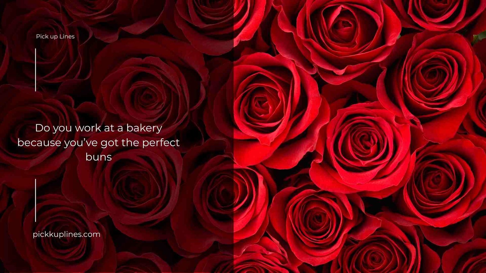 Red Roses Pick Up Lines