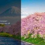 Spring Pick Up Lines