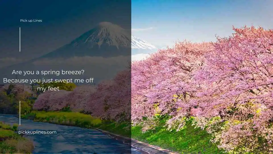 Spring Pick Up Lines