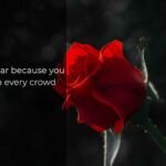 Cheesiest Pickup Lines