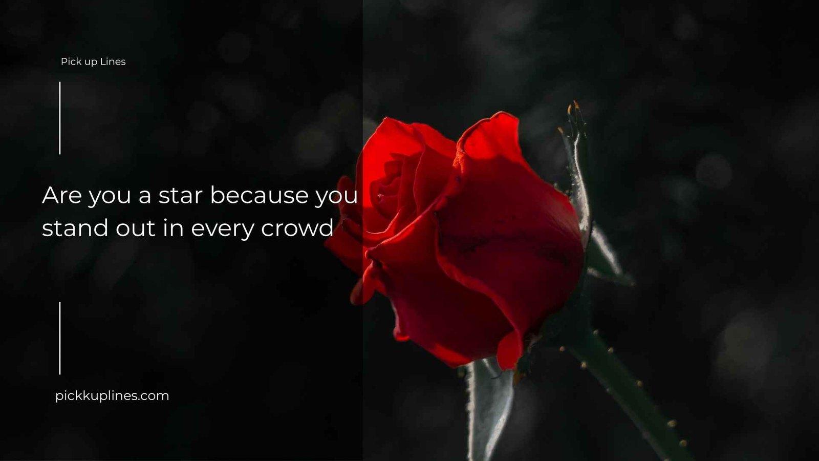 Cheesiest Pickup Lines