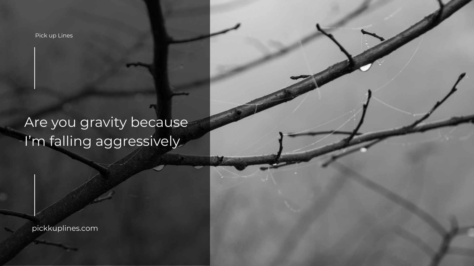 unhinged pickup lines