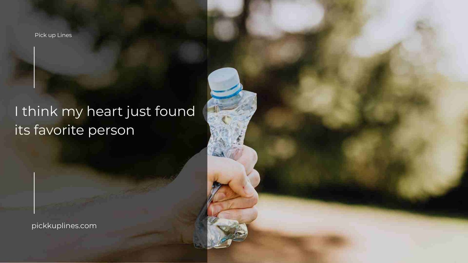 Pickup Lines for Crush