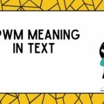 DPWM Meaning in Text