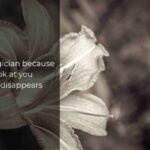 Raunchy Pickup Lines