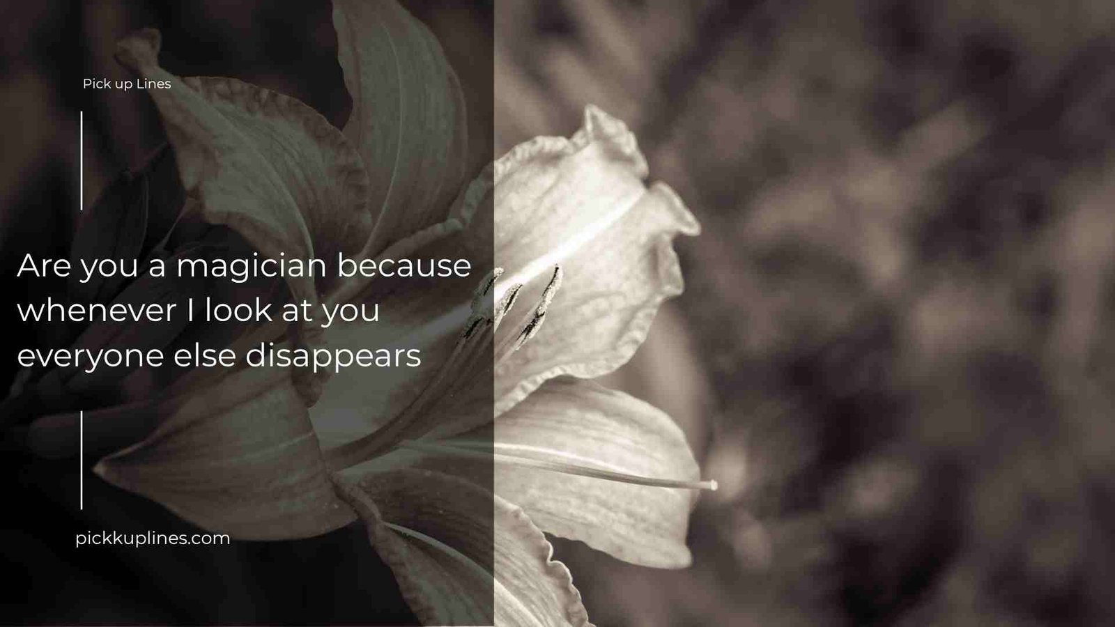 Raunchy Pickup Lines