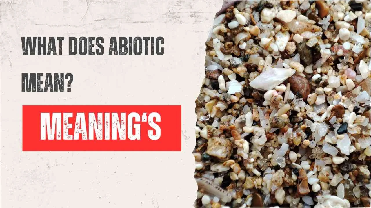 What Does Abiotic Mean?