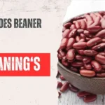What Does Beaner Mean?
