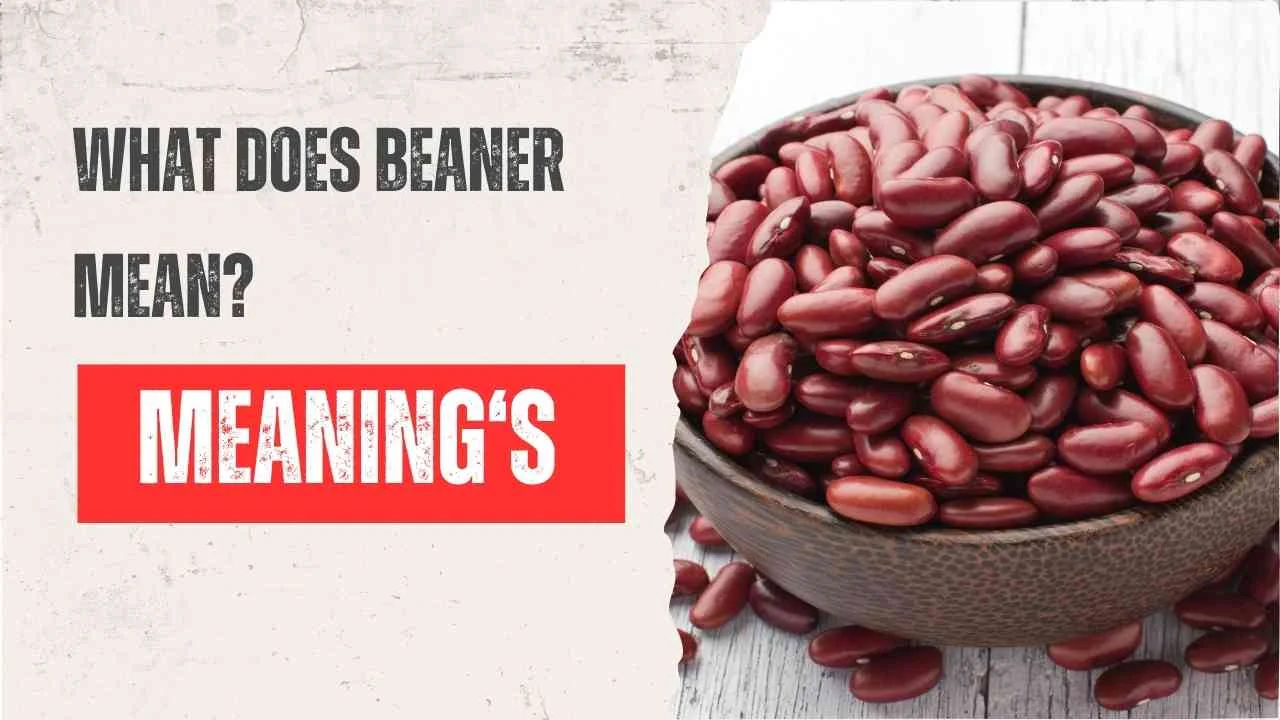 What Does Beaner Mean?