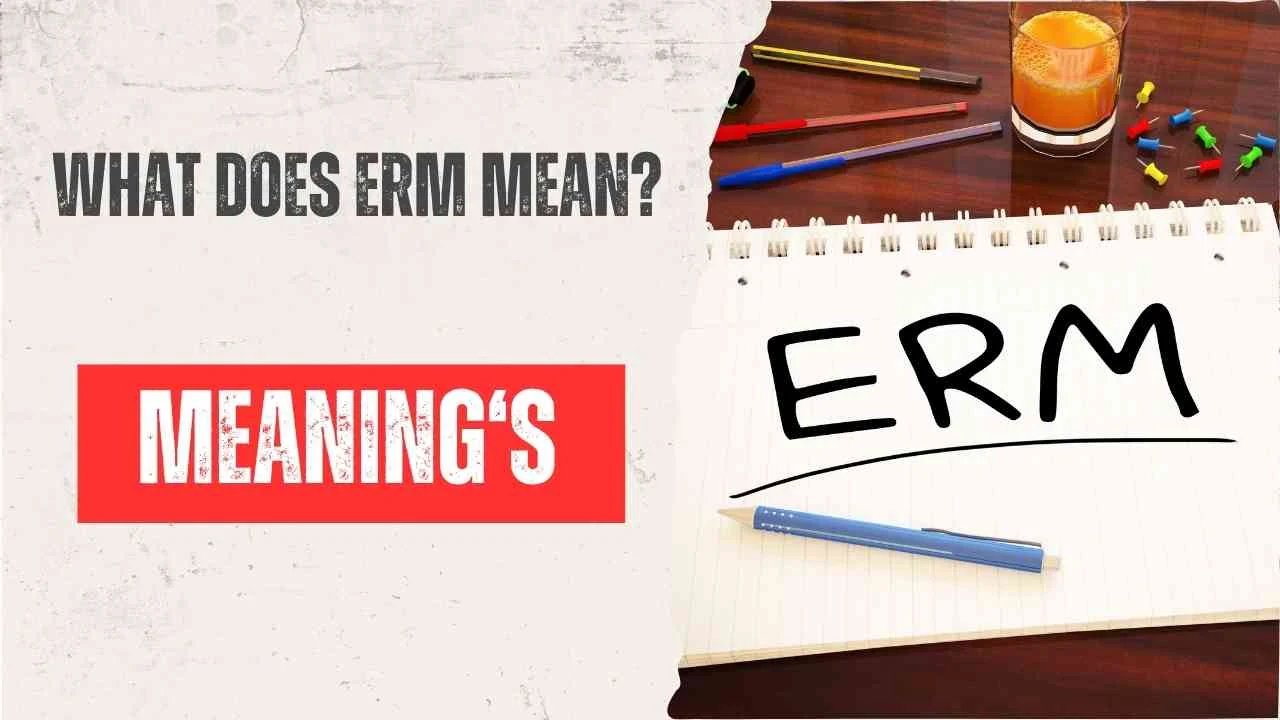 What Does ERM Mean? (Direct Answer)