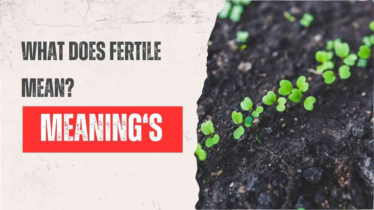 What Does Fertile Mean?